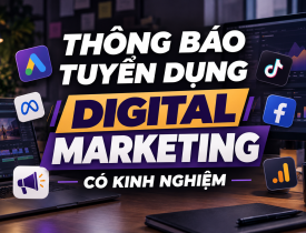Tuyển dụng Nhân viên Digital Marketing tại Tiền Phong Media
